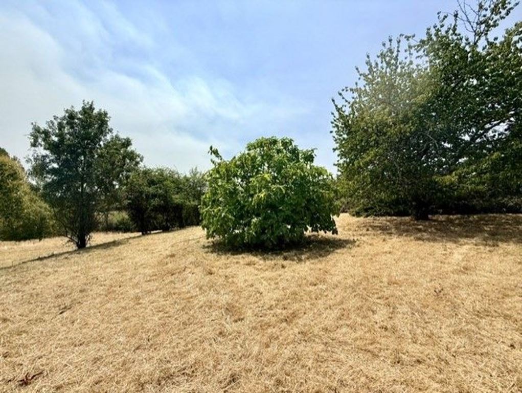 Maison en pierre PAVIE (32550) D'ARTAGNAN IMMOBILIER